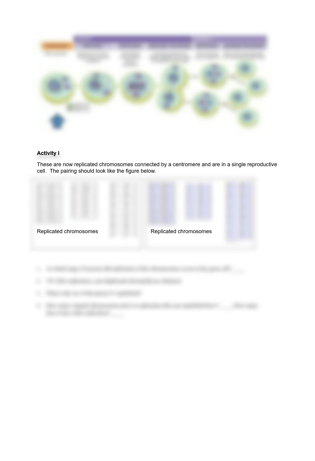 09 lab Chromoseratops(2).pdf_dmpzpru9cu7_page2