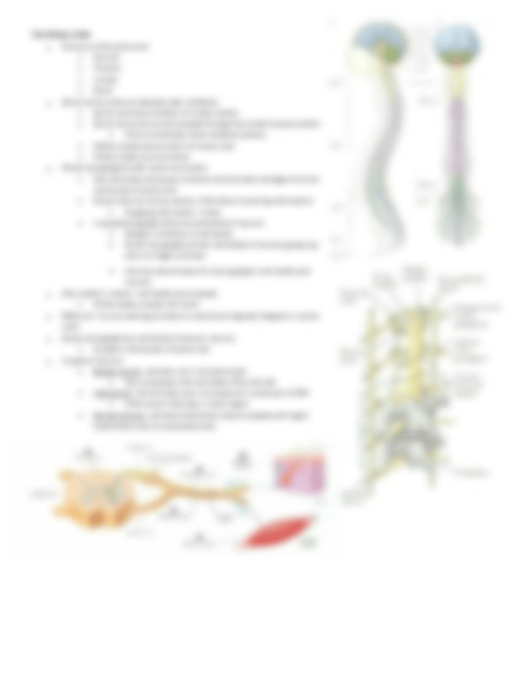 Exam 2 Outline_dmq3jn7hyw8_page4