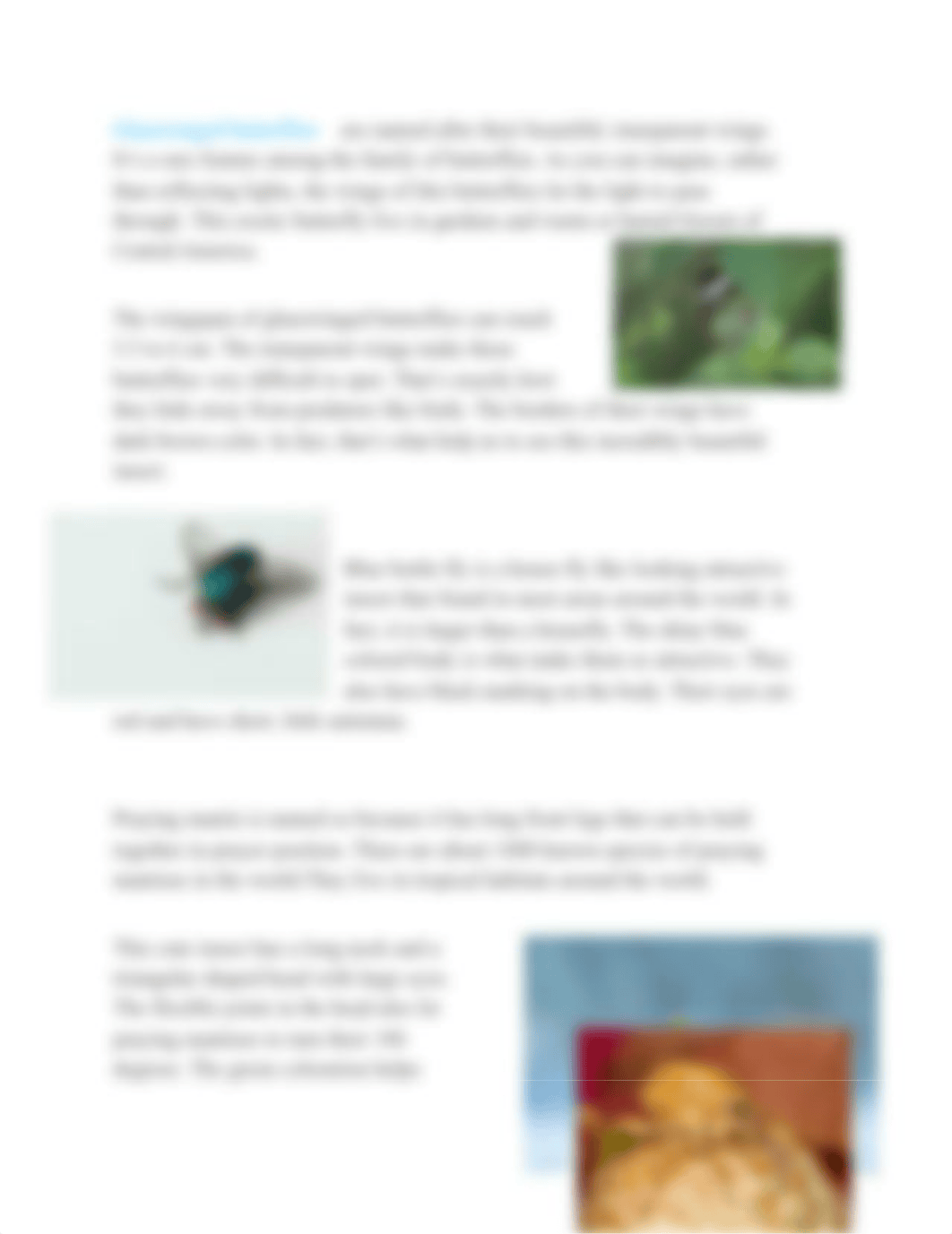 insects as beauty of nature.docx_dmq7sbmx6r8_page2