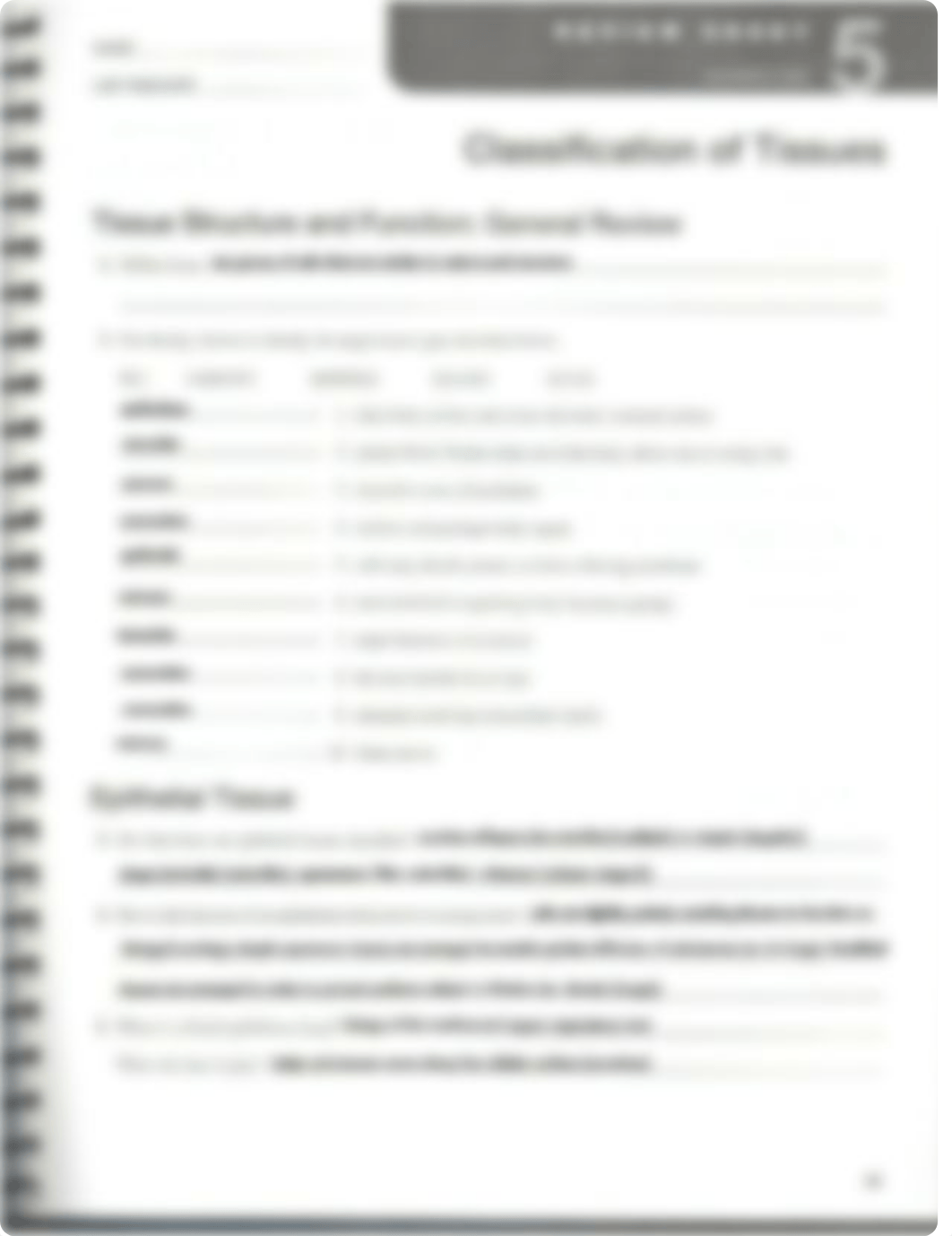 Classification of Tissues Review Sheet Exercise 5 Answers_dmq839f0uhd_page1