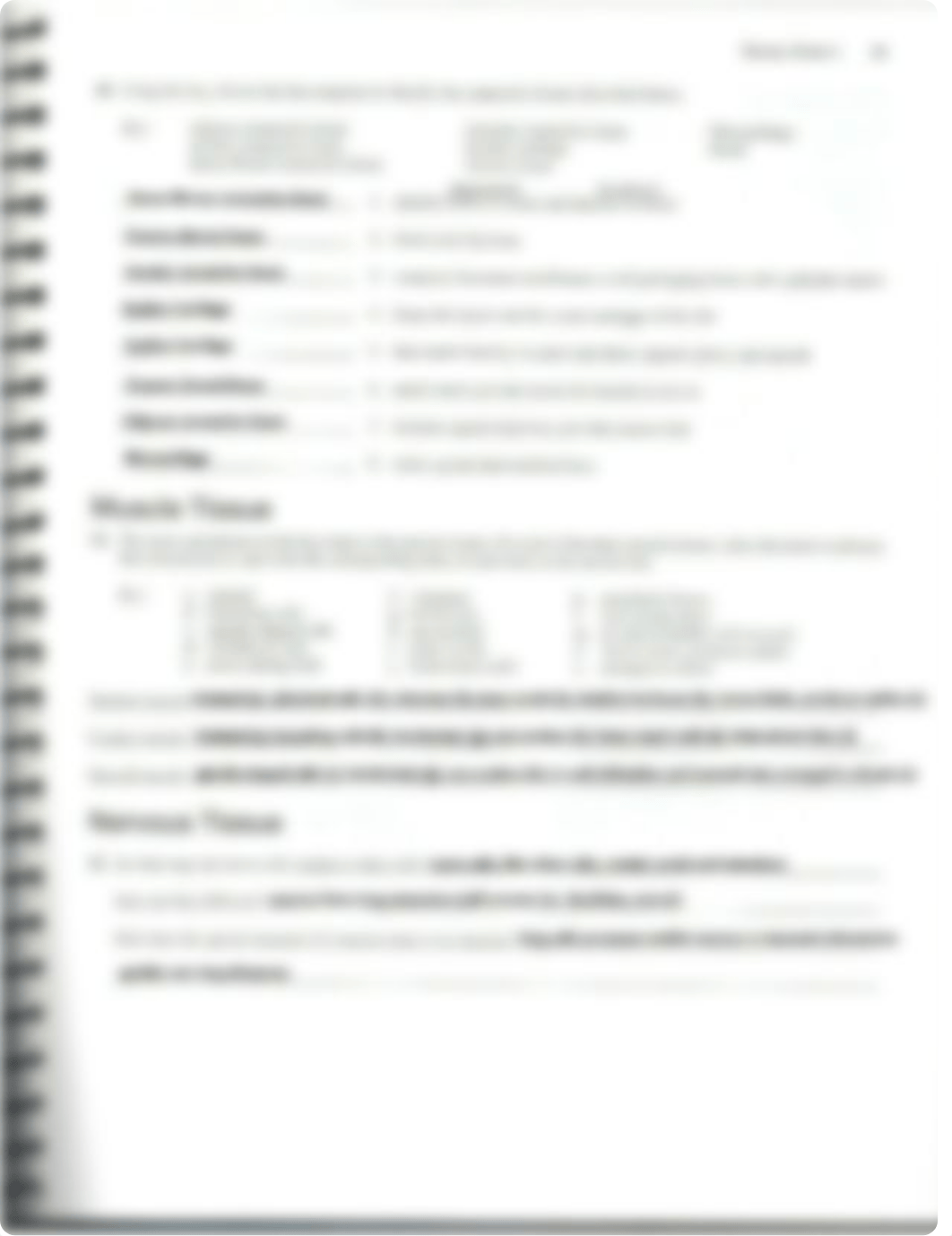 Classification of Tissues Review Sheet Exercise 5 Answers_dmq839f0uhd_page3