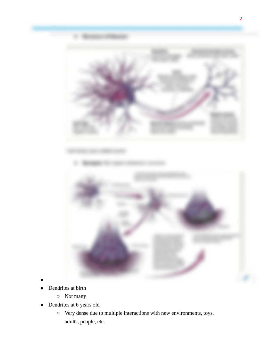 CHST 002 Exam 3 Prep.pdf_dmq924n6wgt_page2