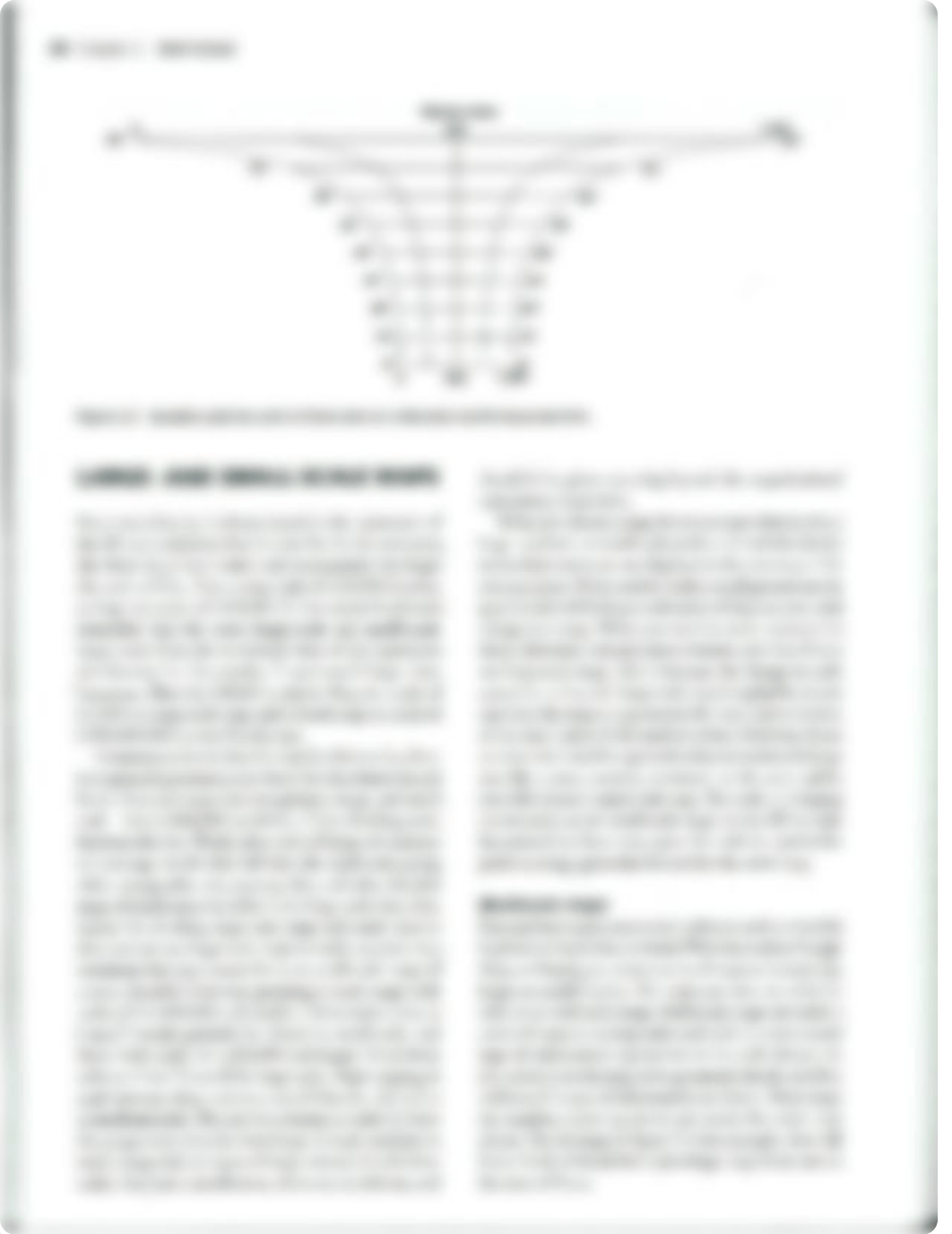 Unit 2 - Reading - Kimerling CH 2 - Scale_dmqshshvnux_page4