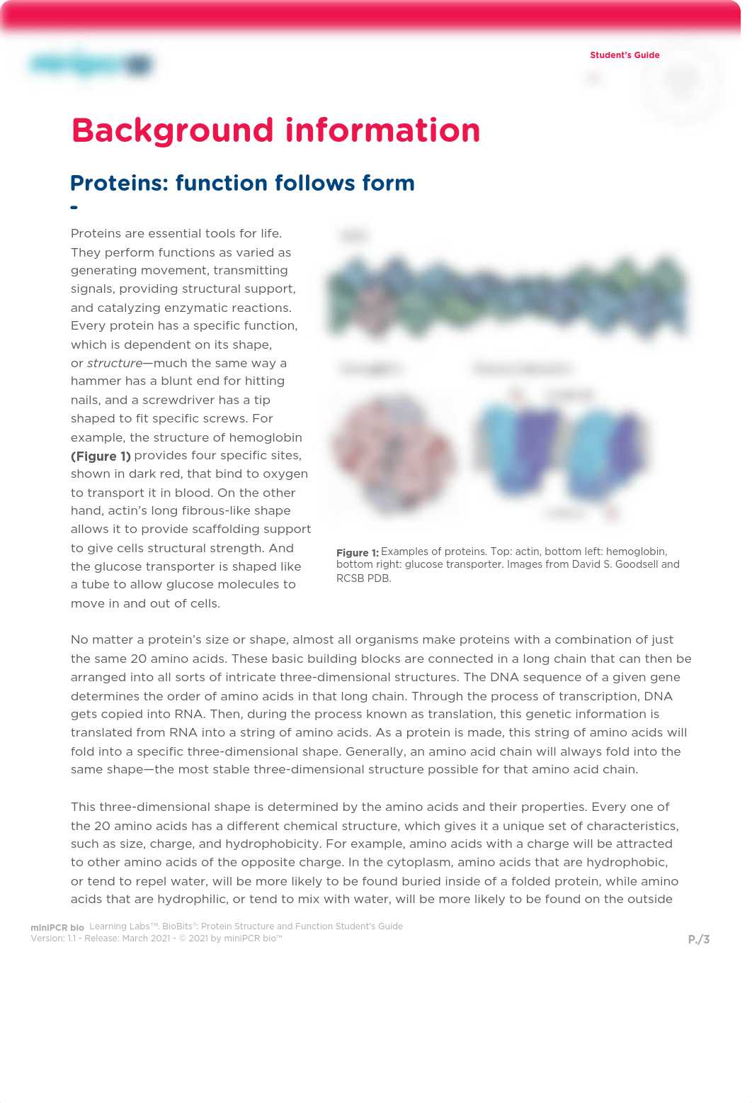 miniPCR_BioBits_Structure-Function_180321_student_guide_v1.1_F.pdf_dmqz6s7in2x_page3