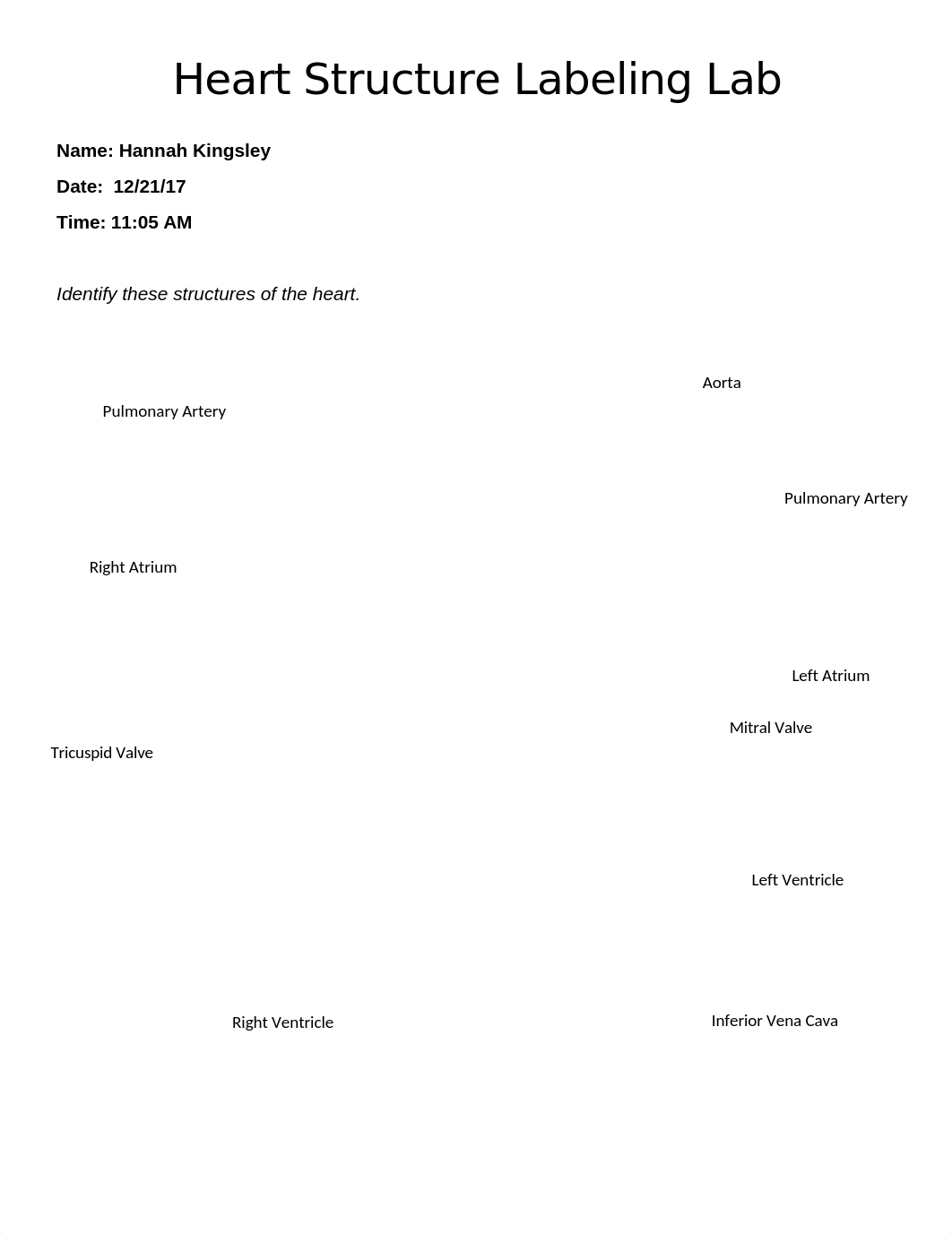 Lab Heart Structure Labeling._dmrfkwipieh_page1