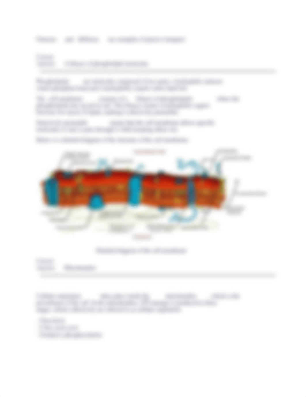 Biology Hesi Practice.docx_dmrh5asp8e7_page3