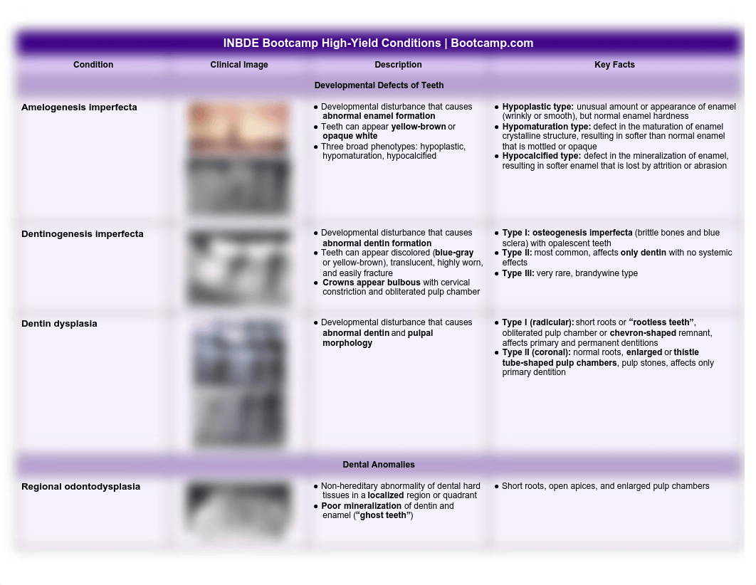 INBDE High-Yield Conditions to Know.pdf_dmrof492u6t_page1