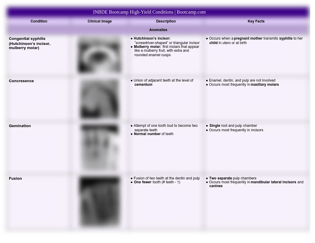 INBDE High-Yield Conditions to Know.pdf_dmrof492u6t_page2