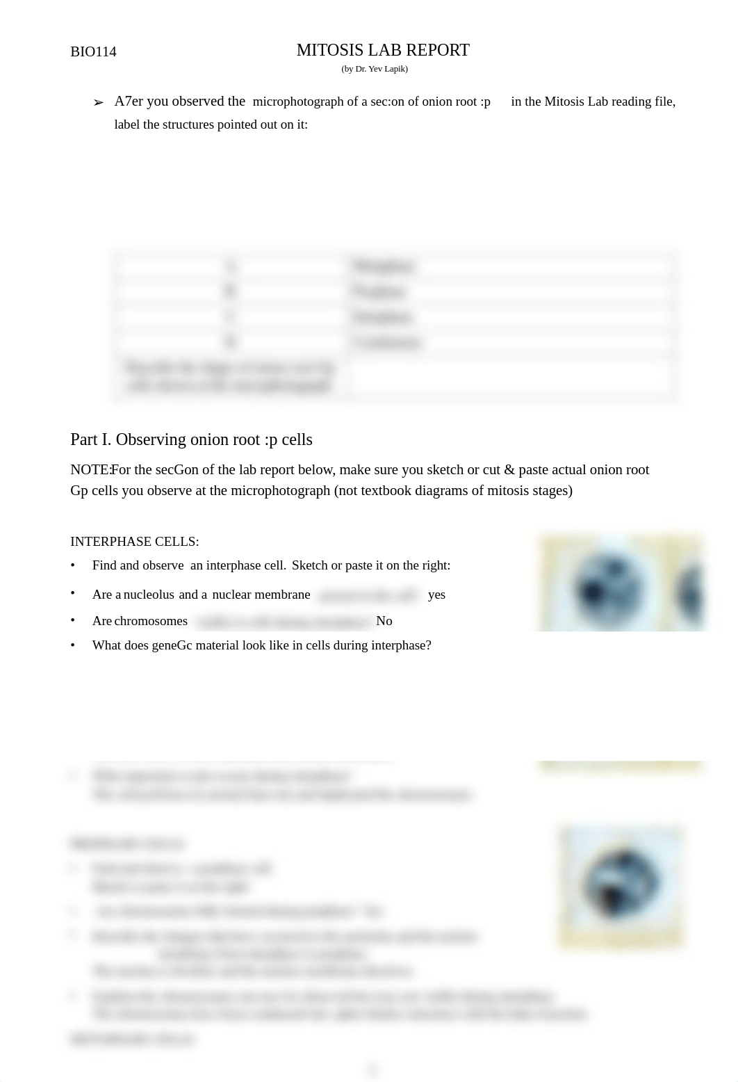 mitosis lab report.pdf_dmrq31u9pc7_page1