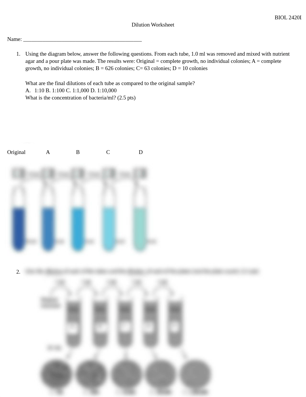 Dilution Worksheet.docx_dmrvc6u1t0b_page1