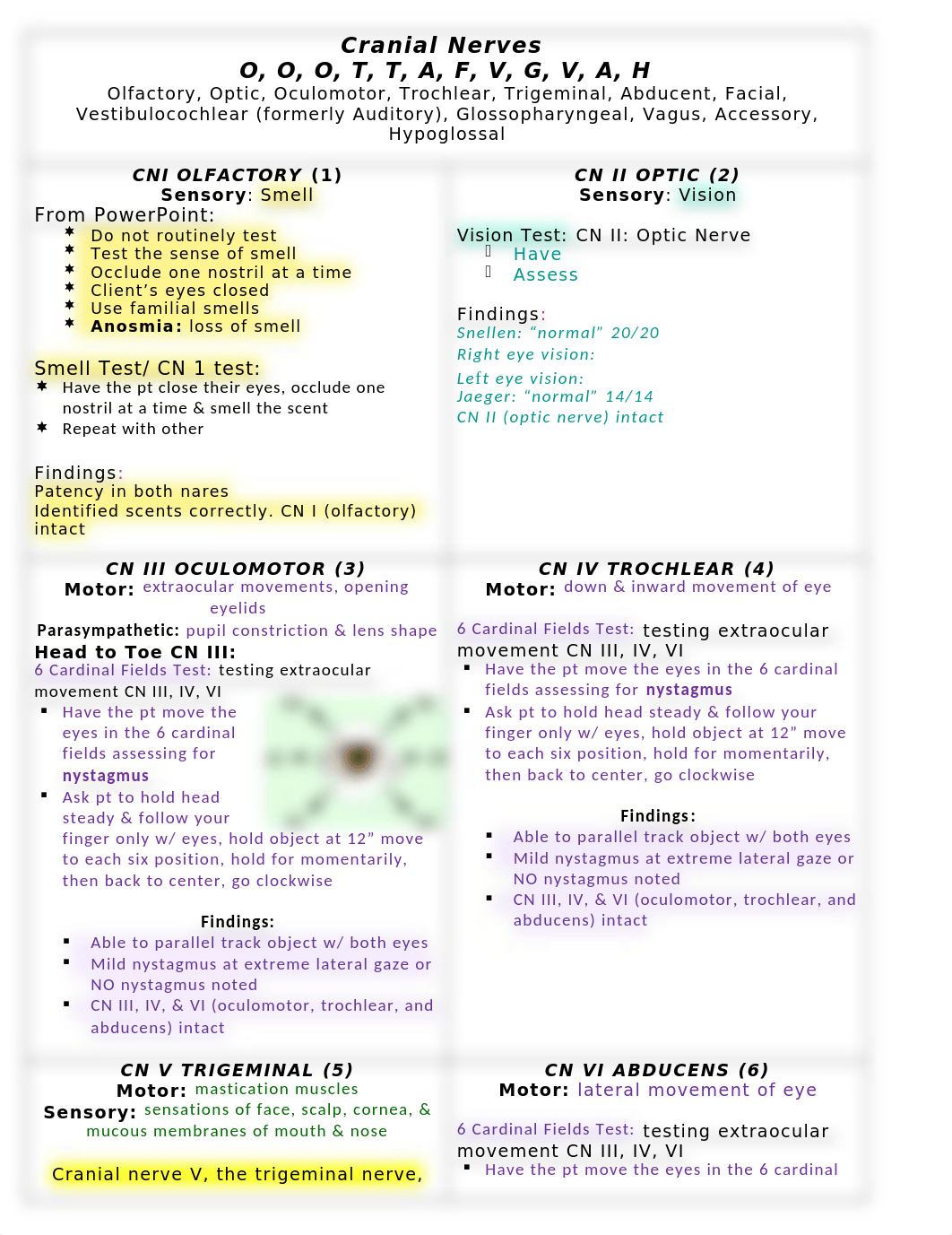 Cranial Nerves and ASSESSMENT.docx_dmrxmpbz45w_page1