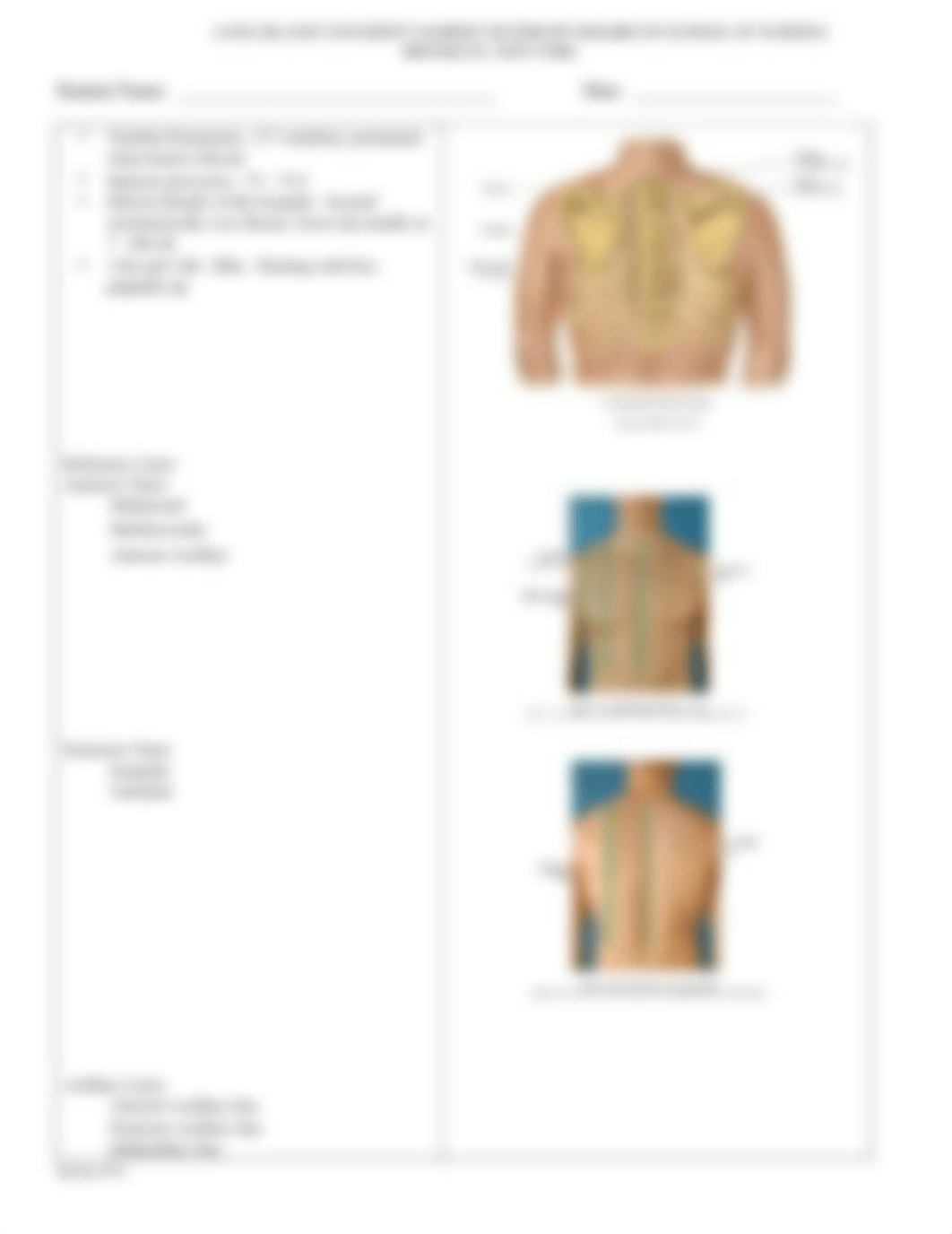 NUR 220L Week 3 Revised Respiratory Lungs and Thorax Assessment - STUDENT VERSION.doc_dmryh7d3u3e_page3