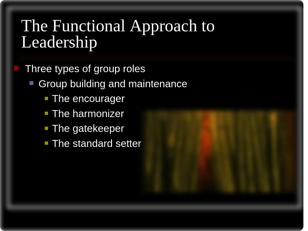 Functional Leadership Theory &amp; LMX_dms1kr5zc65_page4