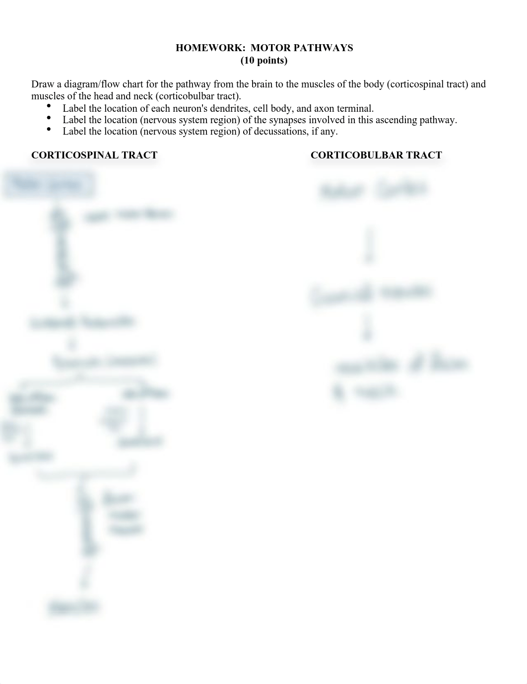 MOTORPATHWAYS HW 335.pdf_dms7i0m9olh_page1