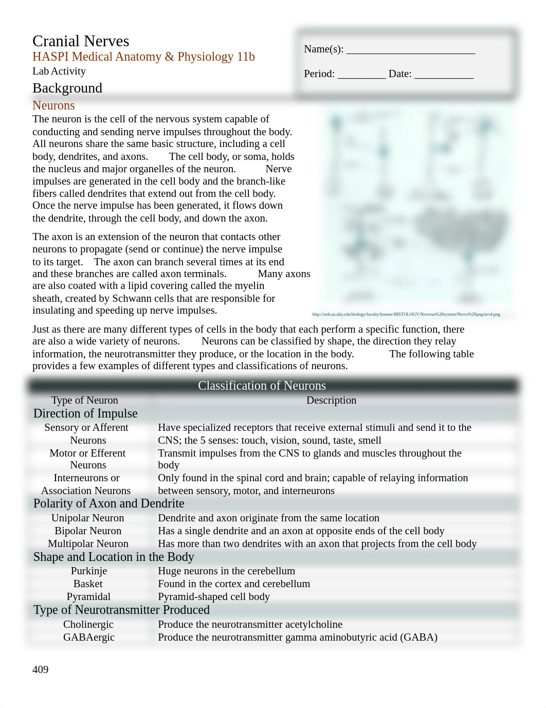 Cranial_Nerves_Stations_.docx_dms8gbpgh59_page1