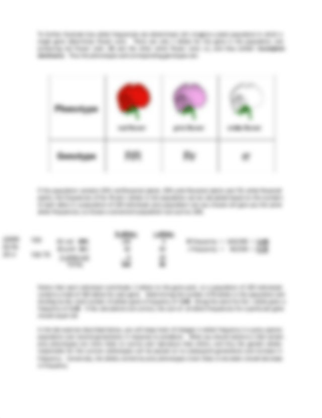 Hardy-weinburg lab-2.pdf_dmsbn55my0d_page2