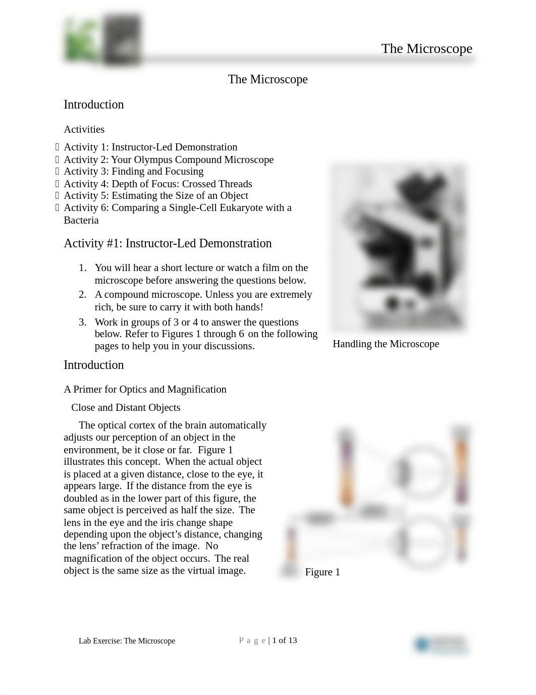 03i-The Microscope.docx_dmsiyjgnslc_page1