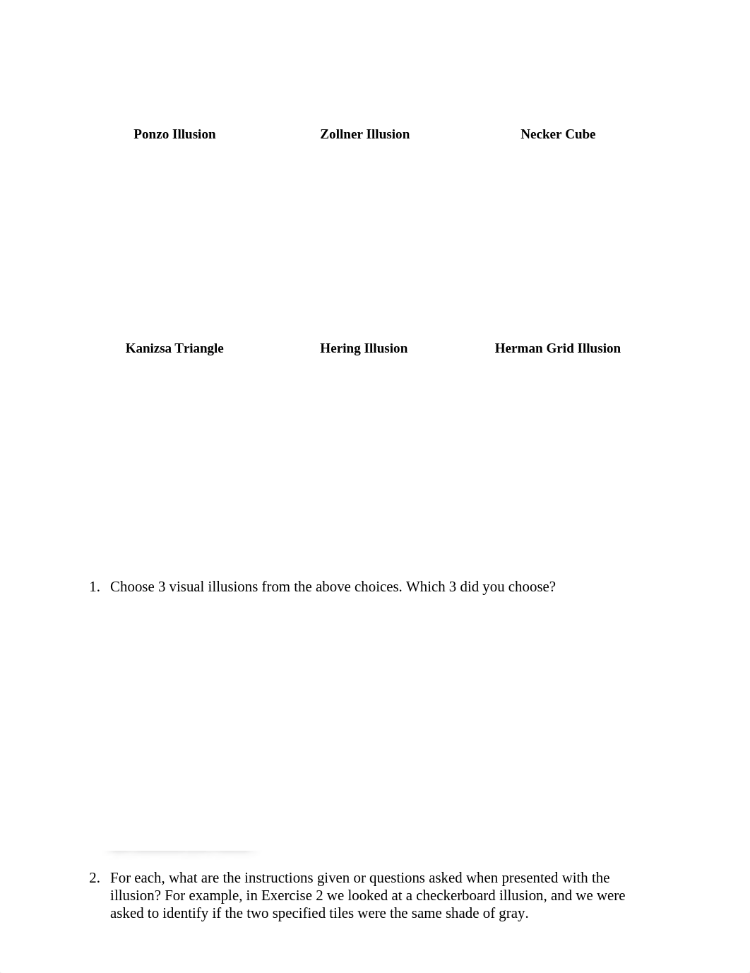 Lab 5 Visual Illusions 2 Worksheet.docx_dmsukevhkex_page1