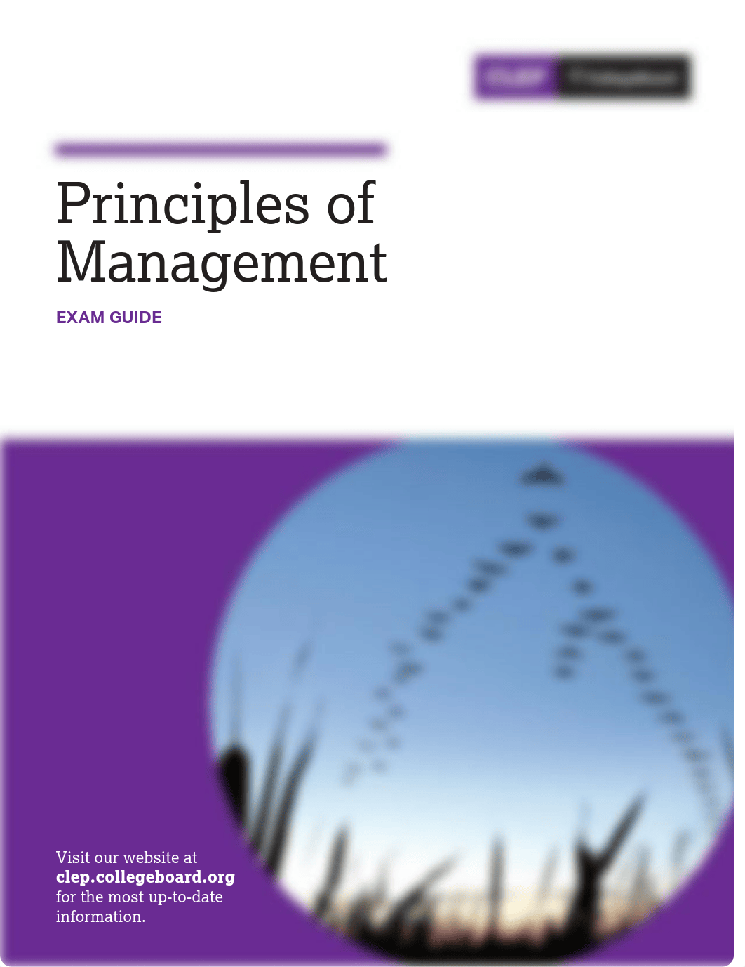 Principles of Management CLEP Study.pdf_dmsur97v0pq_page1