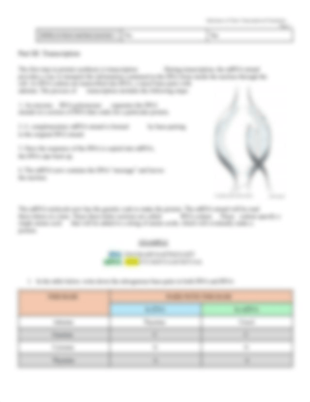 Eva Gardner - Protein Synthesis_ Transcription & Translation.pdf_dmsut150adq_page3