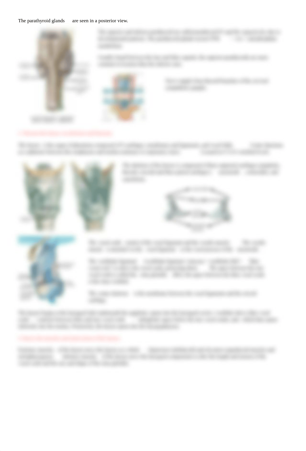 Thyroid Gland and Larynx.pdf_dmt3xz5uw2y_page2