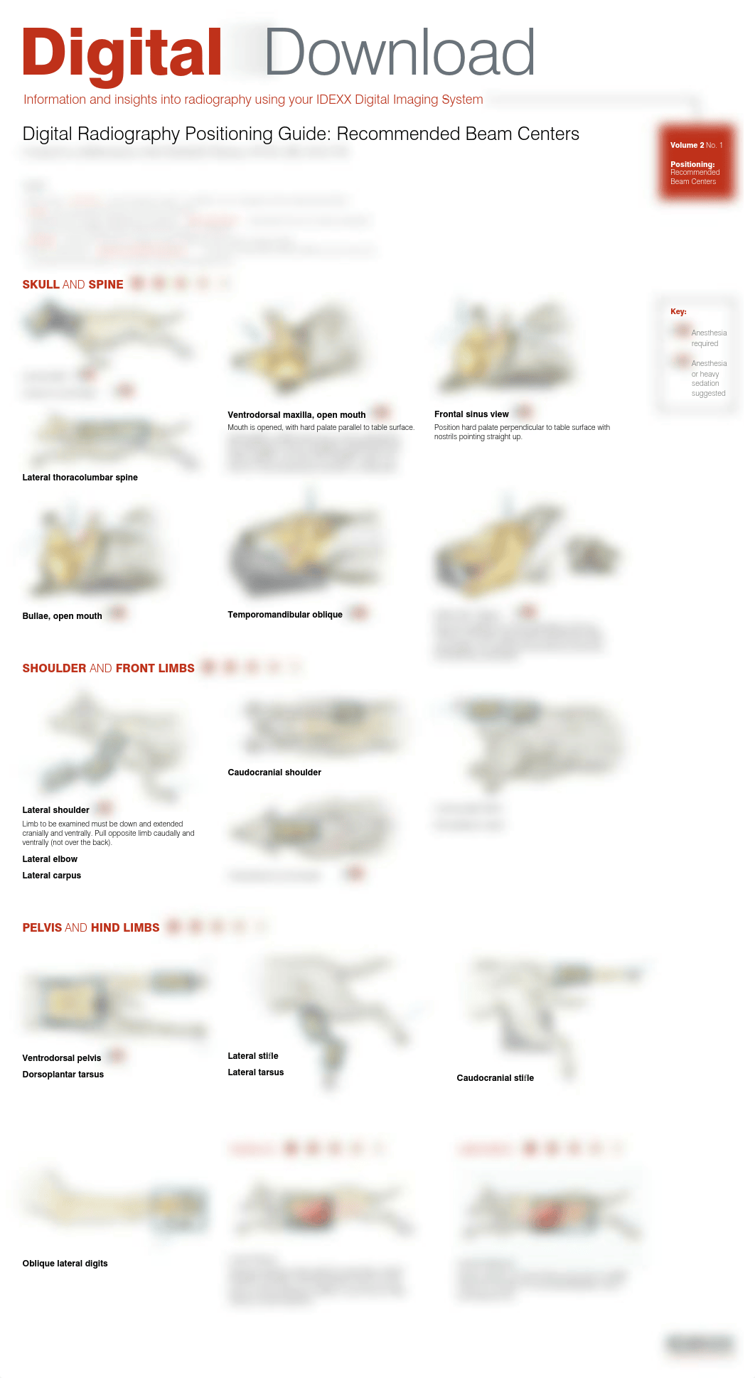 1 Radiography Positioning Guide-IDEXX.pdf_dmtd700qx91_page1
