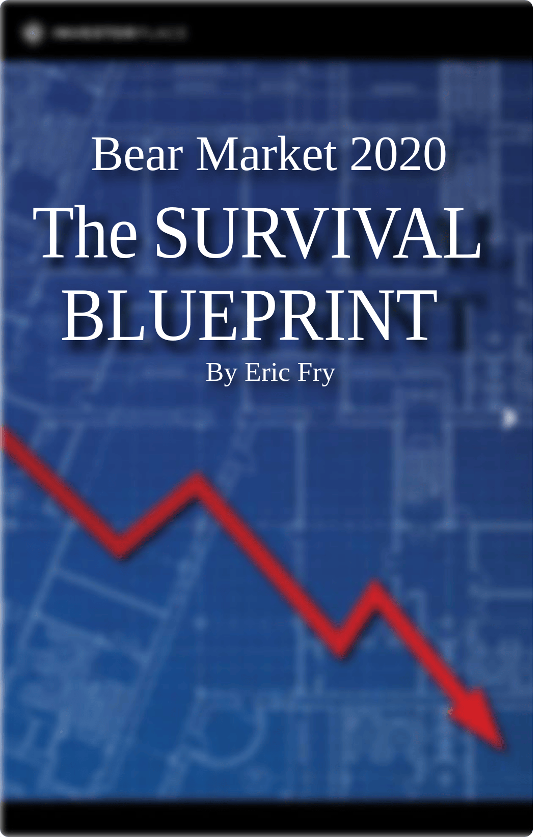 Bear Market 2020 The Survival Blueprint.pdf_dmtgdjr1e9i_page1