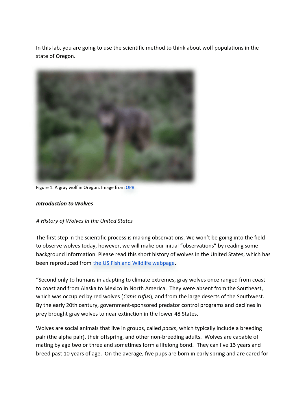 Tara S. Scientific Method-Wolf Population Lab.pdf_dmtglfu57bc_page2