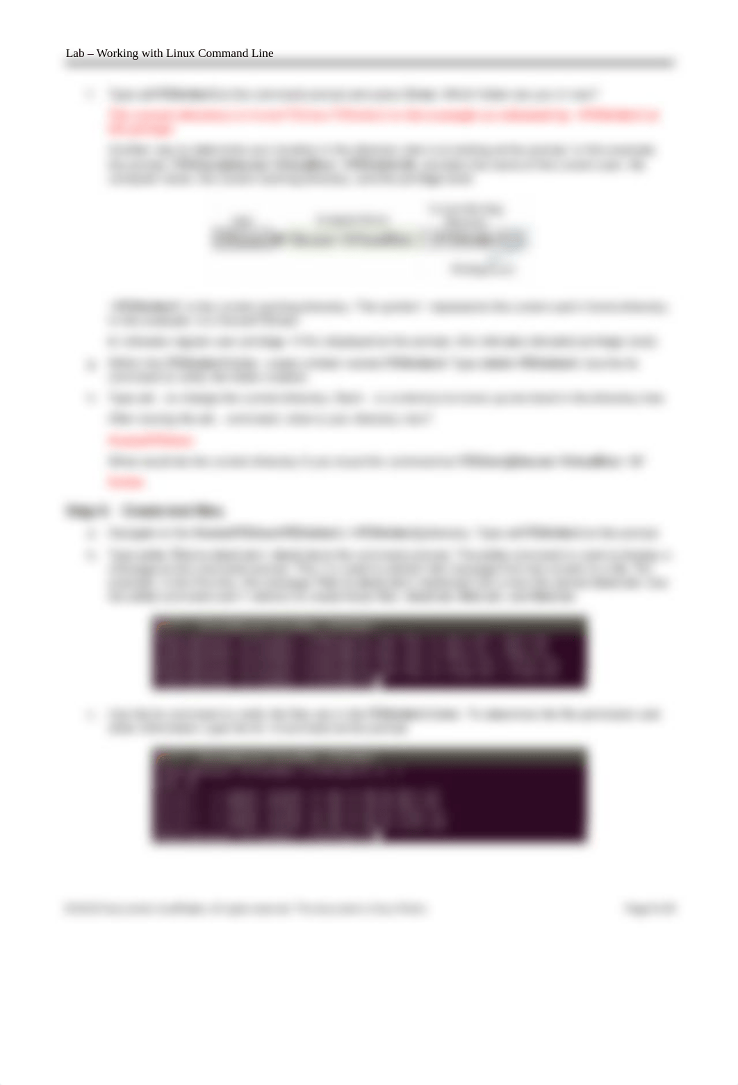 10.4.3.3 Lab - Working with the Linux Command Line.docx_dmtheexkctr_page3