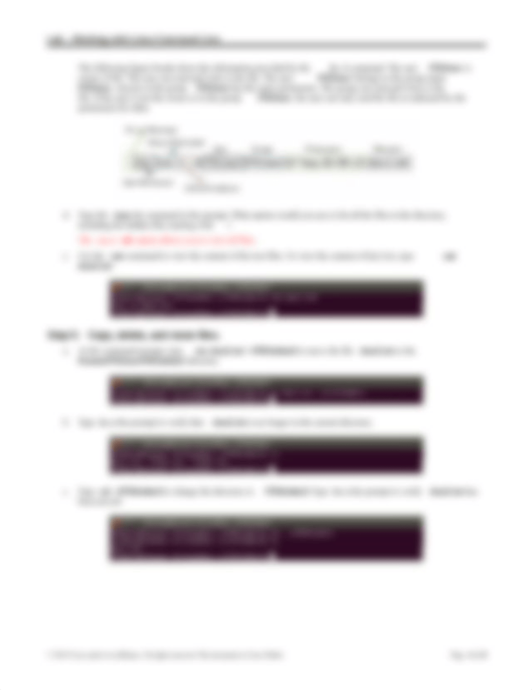 10.4.3.3 Lab - Working with the Linux Command Line.docx_dmtheexkctr_page4
