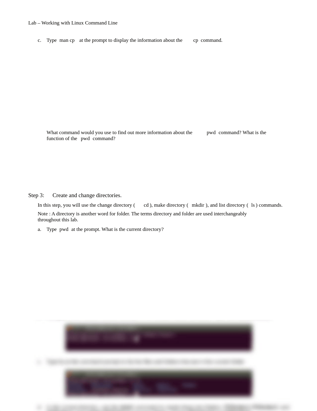 10.4.3.3 Lab - Working with the Linux Command Line.docx_dmtheexkctr_page2
