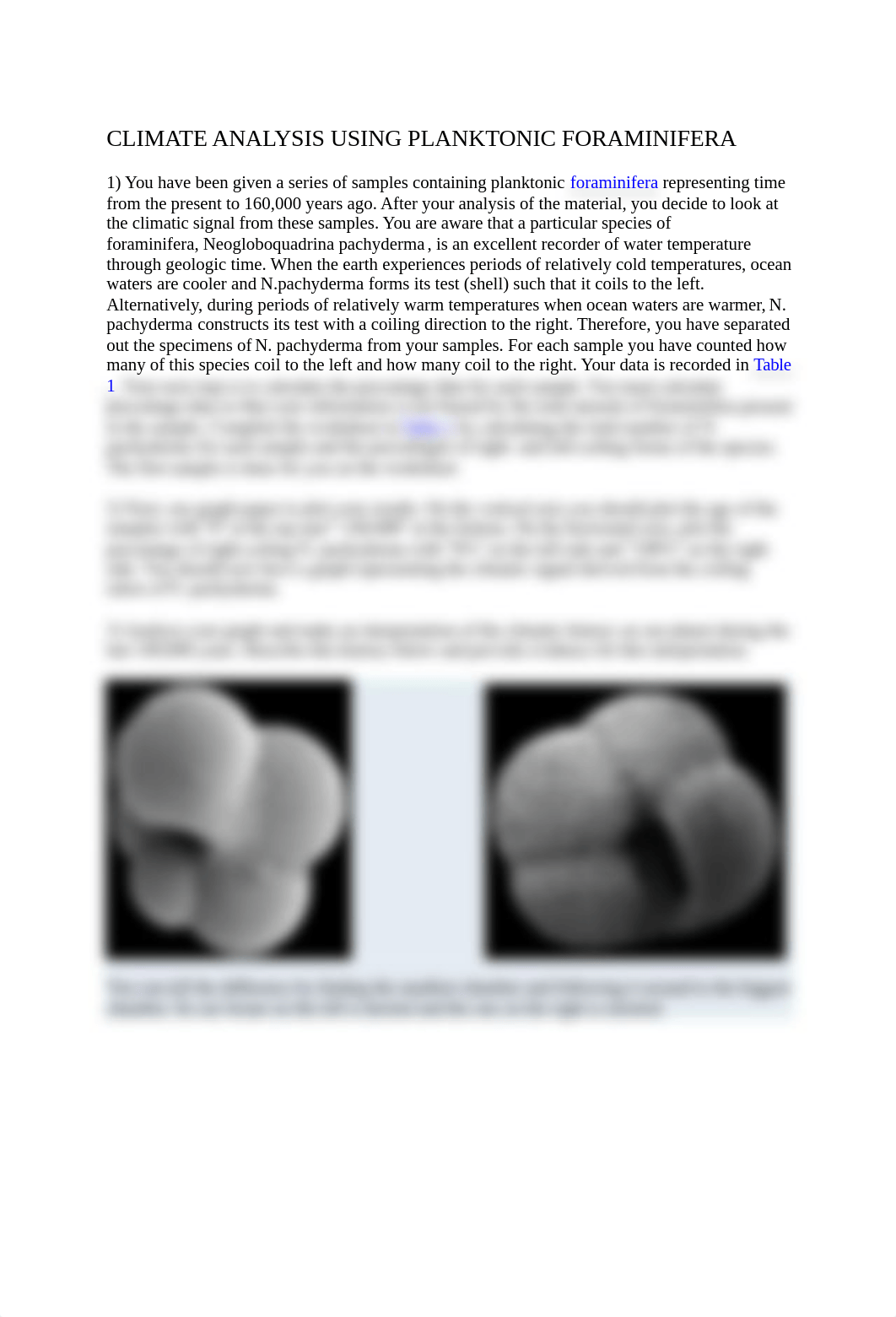 CLIMATE+ANALYSIS+USING+PLANKTONIC+FORAMINIFERA.docx_dmtihi56gqp_page1