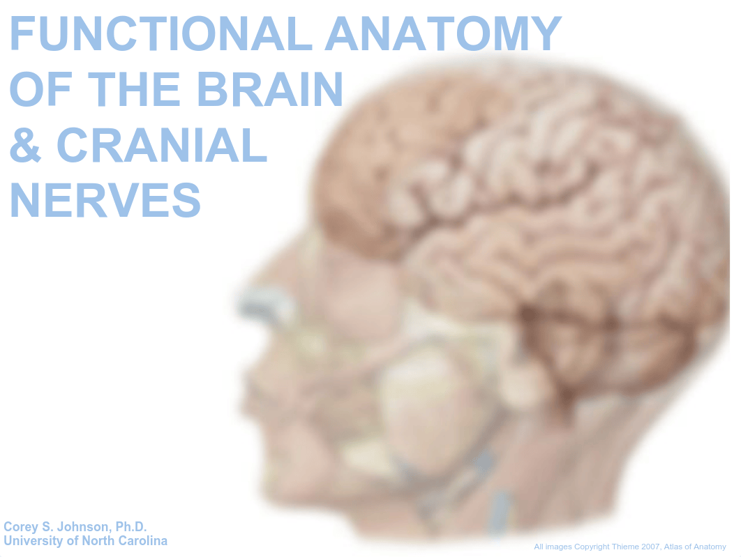 02 Brain and Cranial Nerves.pdf_dmtpzlsbzsb_page1