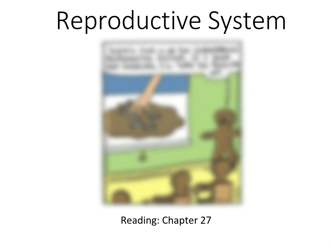 Reproductive System.pdf_dmtvi1ygp5k_page1