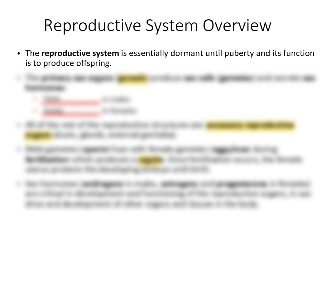 Reproductive System.pdf_dmtvi1ygp5k_page4