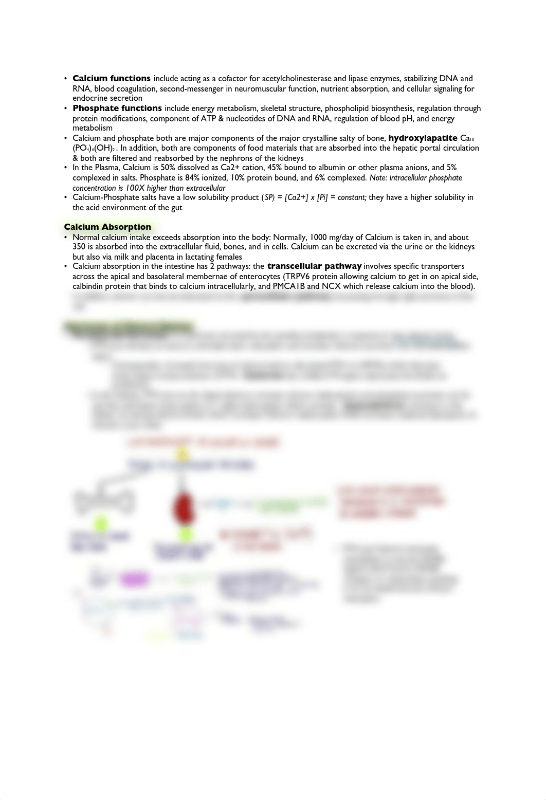 Calcium _ Phosphate Balance_ Biochemistry _ Physiology .pdf_dmuf4duatf2_page1