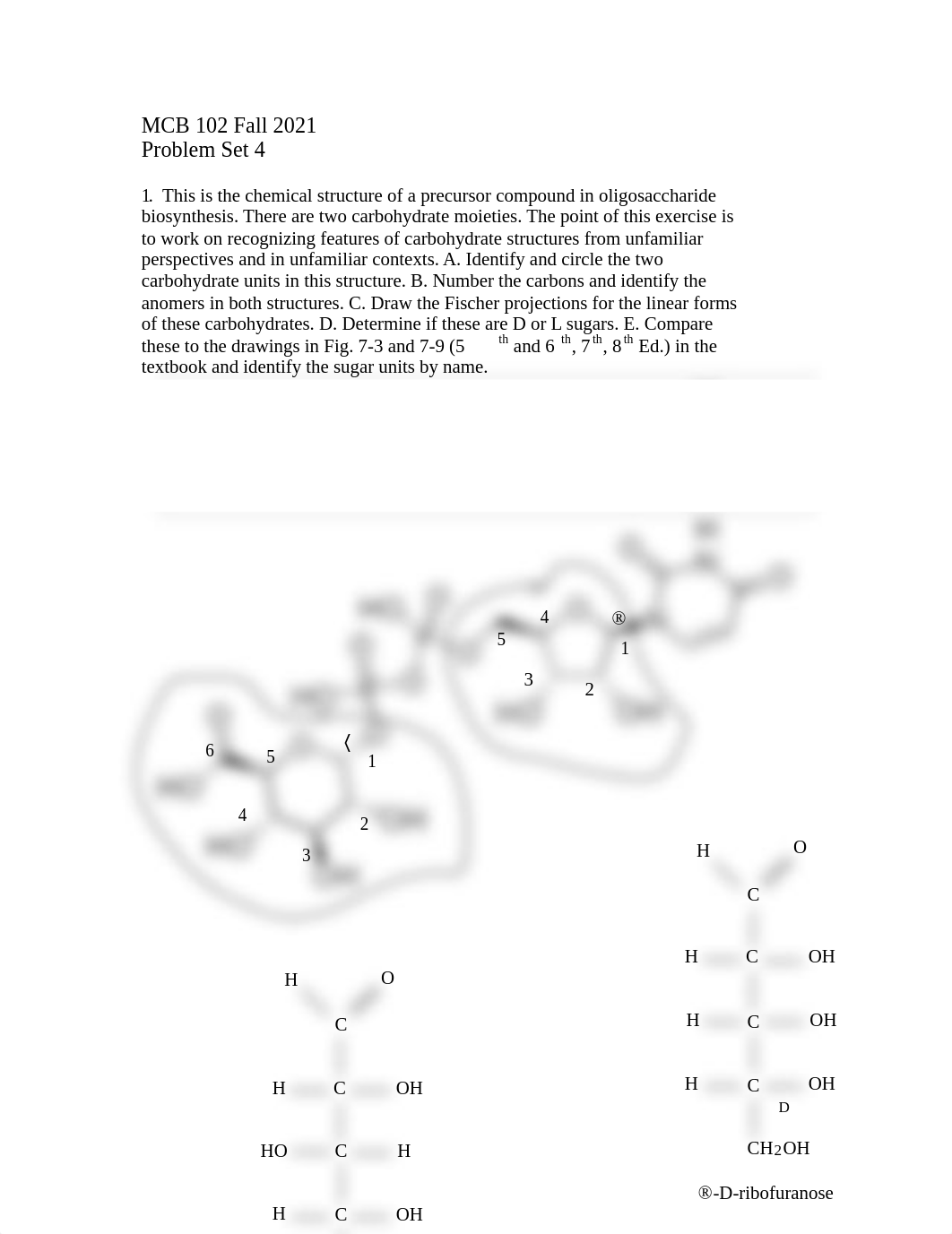 MCB102 F21.ProblemSet 4 Key .pdf_dmug13meo7l_page1