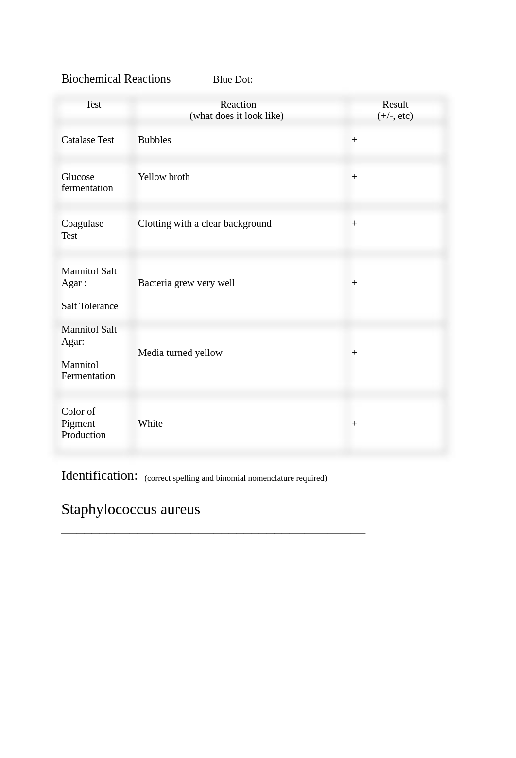 staphyloccocus lab.docx_dmus5a97an1_page2