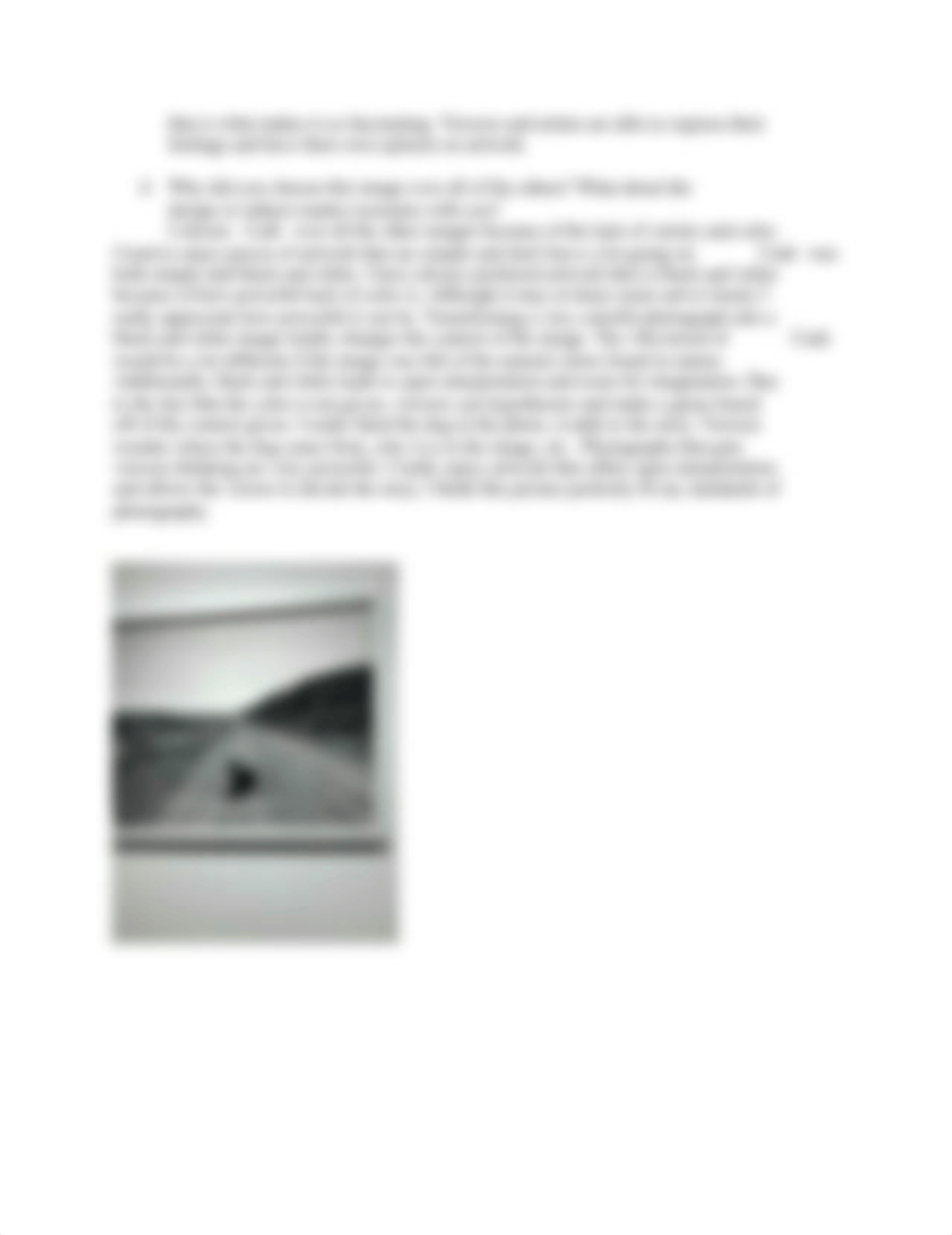 Gallery Project .docx_dmuv4nc908o_page3