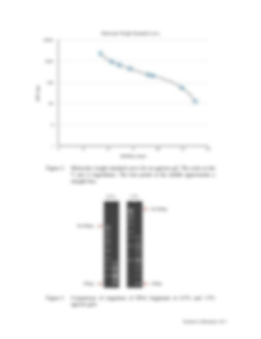 Exercise 26 - Introduction to Agarose Gel Electrophoresis.pdf_dmuxboptwmd_page3