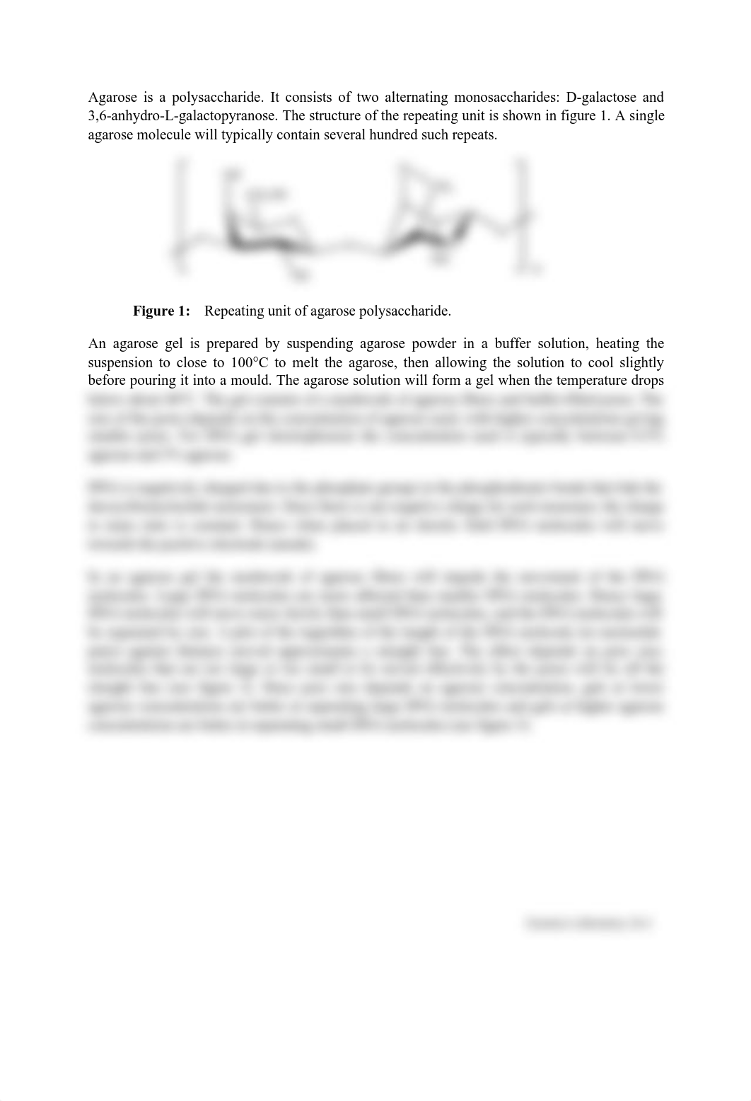 Exercise 26 - Introduction to Agarose Gel Electrophoresis.pdf_dmuxboptwmd_page2