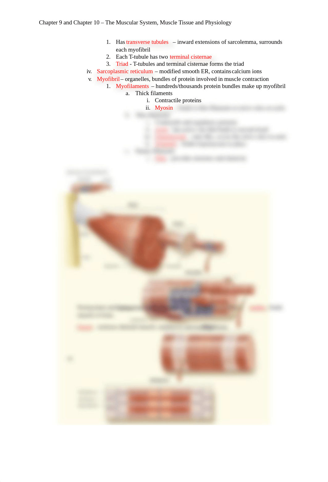 Chapter 9 and Chapter 10 - The Muscular System, Muscle Tissue and Physiology.docx_dmv2qgr2tqs_page2