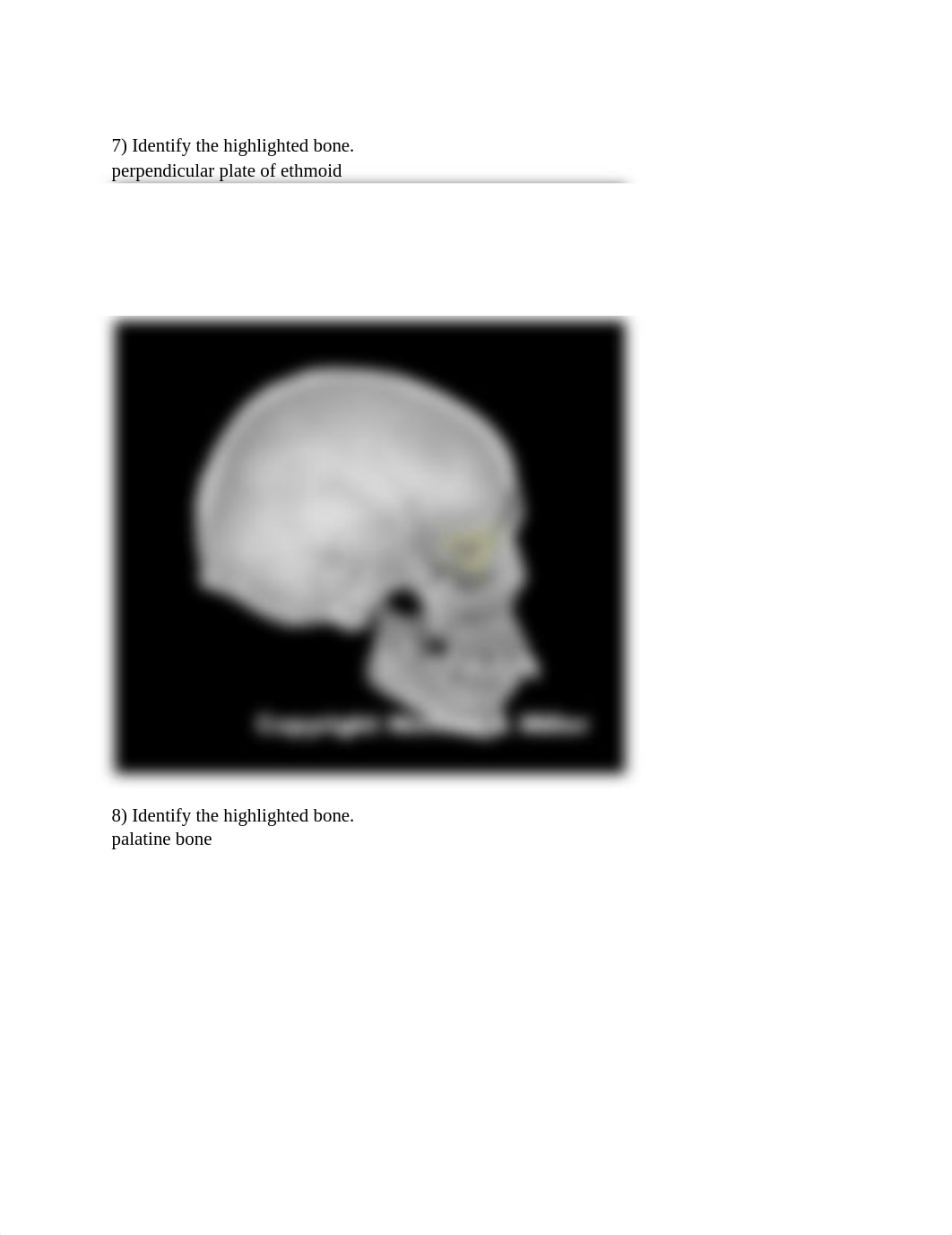 Bones lab .pdf_dmv3sgu93fm_page5