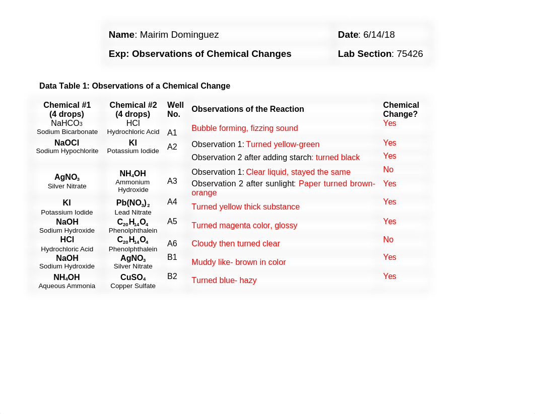 Observations Mairm Dominguez 75426 (1).rtf_dmv5epbaldn_page1