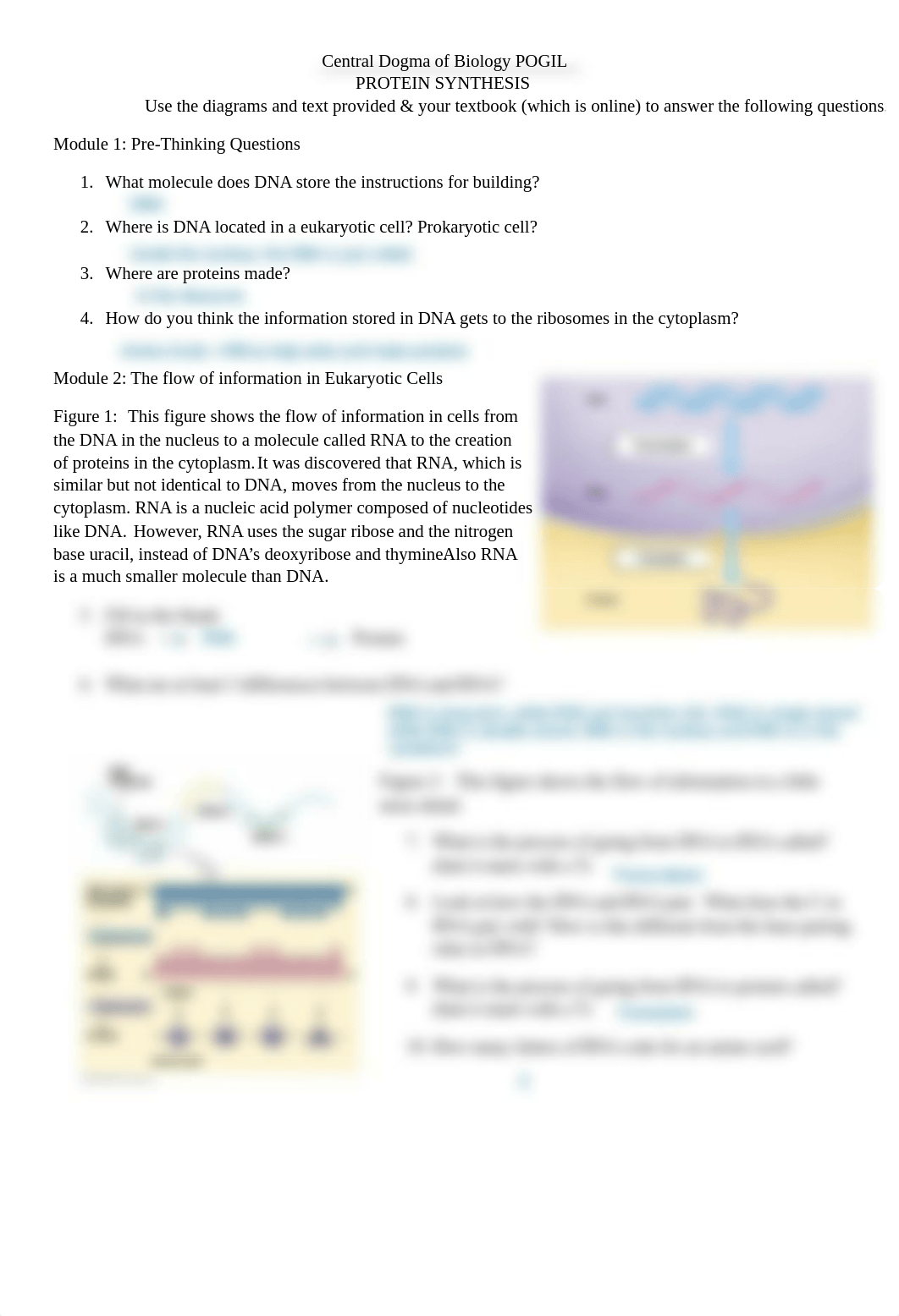 Protein synthesis POGIL.pdf_dmvbdqjibyy_page1