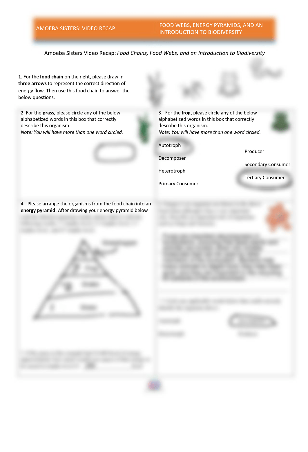 video recap-Food Webs and Energy Pyramids Amoeba Sisters.pdf_dmvf1dbqi2t_page1