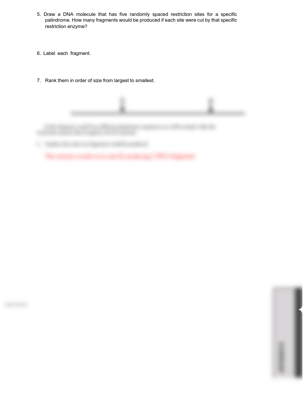 Forensic Analysis Pre-Lab Introduction to DNA Fingerprinting  (dragged) 6_dmw1m8jifgs_page1