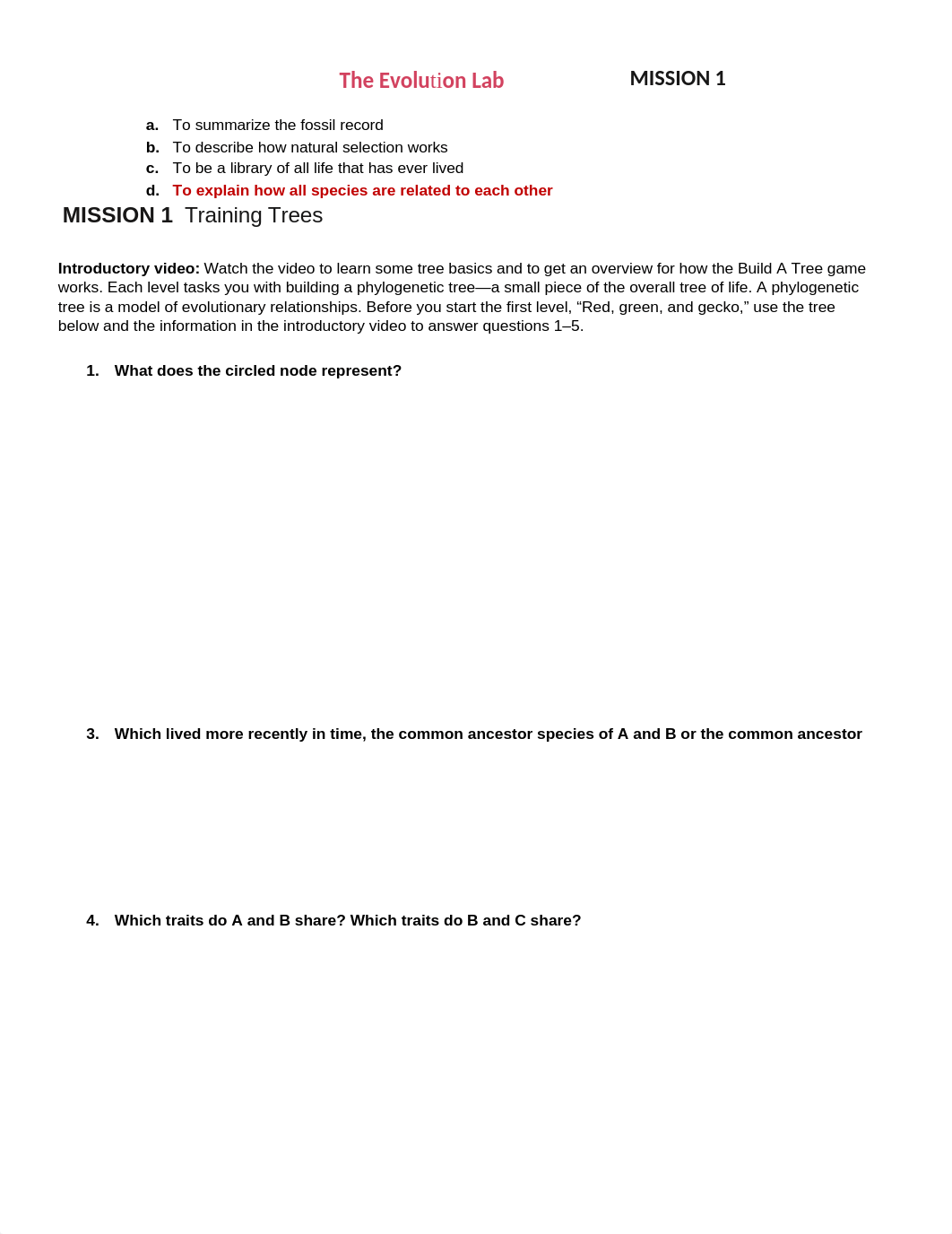 NOVA evolution lab worksheet.docx_dmw35yh3569_page2