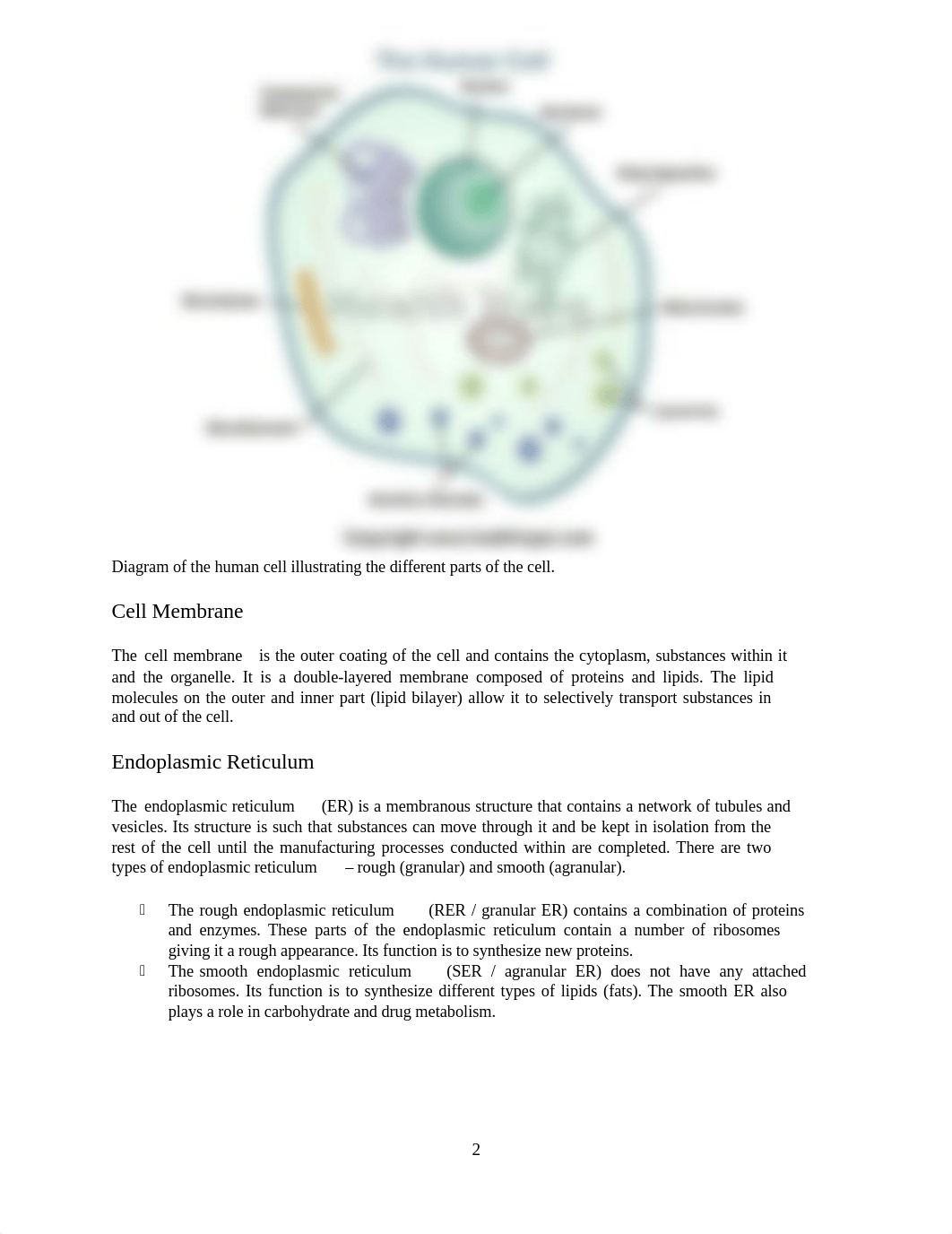 Human Cell Diagram and Sickle Cell.pdf_dmw5k0789mn_page2