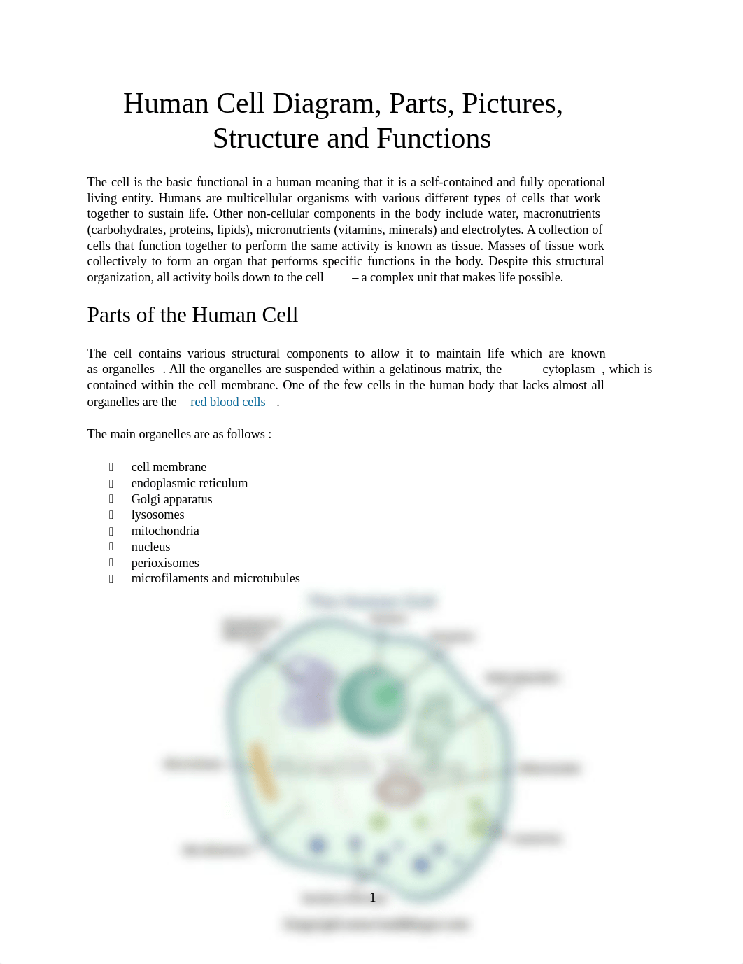 Human Cell Diagram and Sickle Cell.pdf_dmw5k0789mn_page1